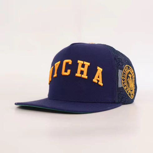 NYCHA with pin