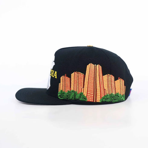 Black NYCHA